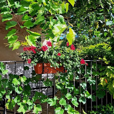 La E Bella Casa de Férias